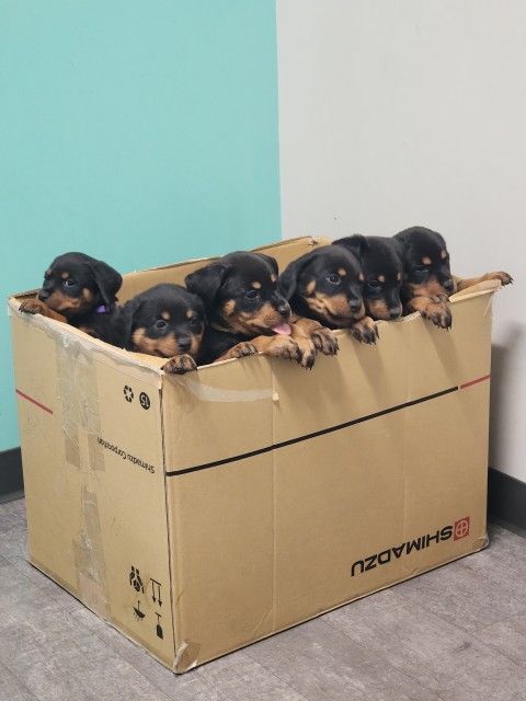 4 Available