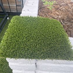 Pet Turf 