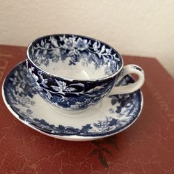 Antique Royal Bonn Wildrose Germany Franz Ant Mehlem Blue White Circa Late 1800’s Rare Find 🦄