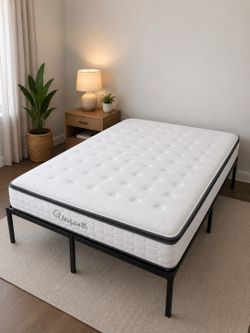 Queen Mattress