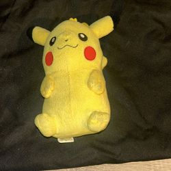 Pokemon Coin Purse