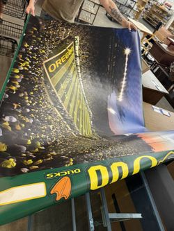 Ducks Stadium At Night 