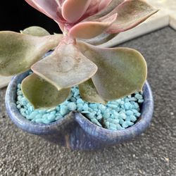 Heart Shaped Ceramic Planter 