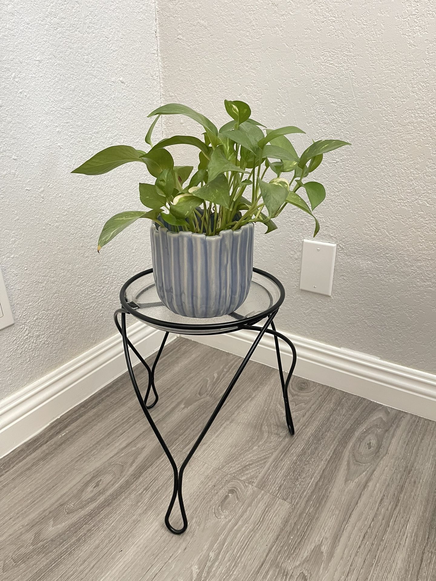 Plant Stand