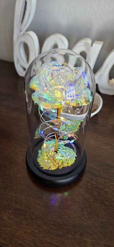 Dome LED Eternal Flower Night Light