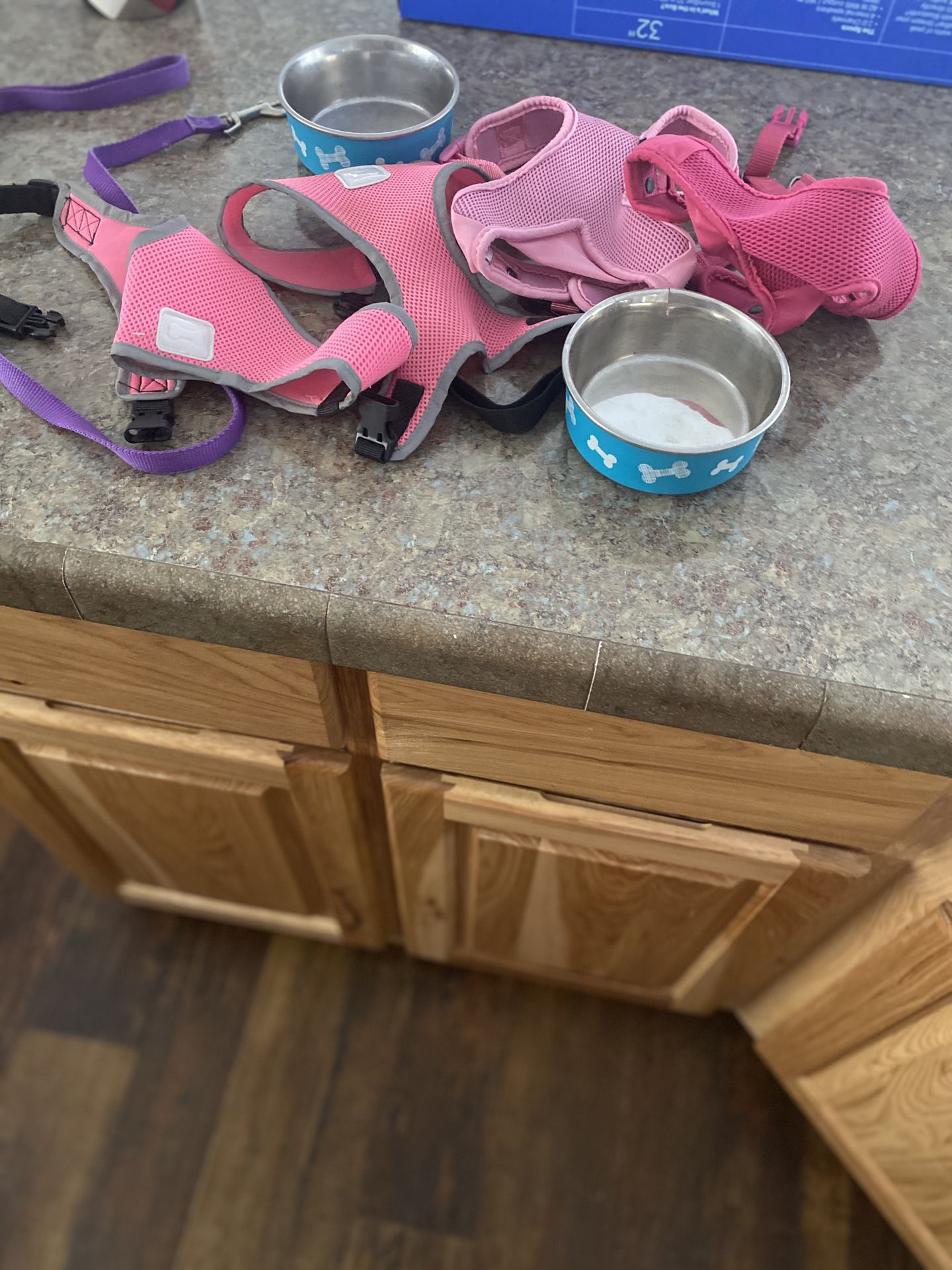 Small Harnesses, Bowls And Leash
