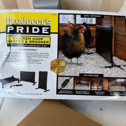 Chicken Brooder