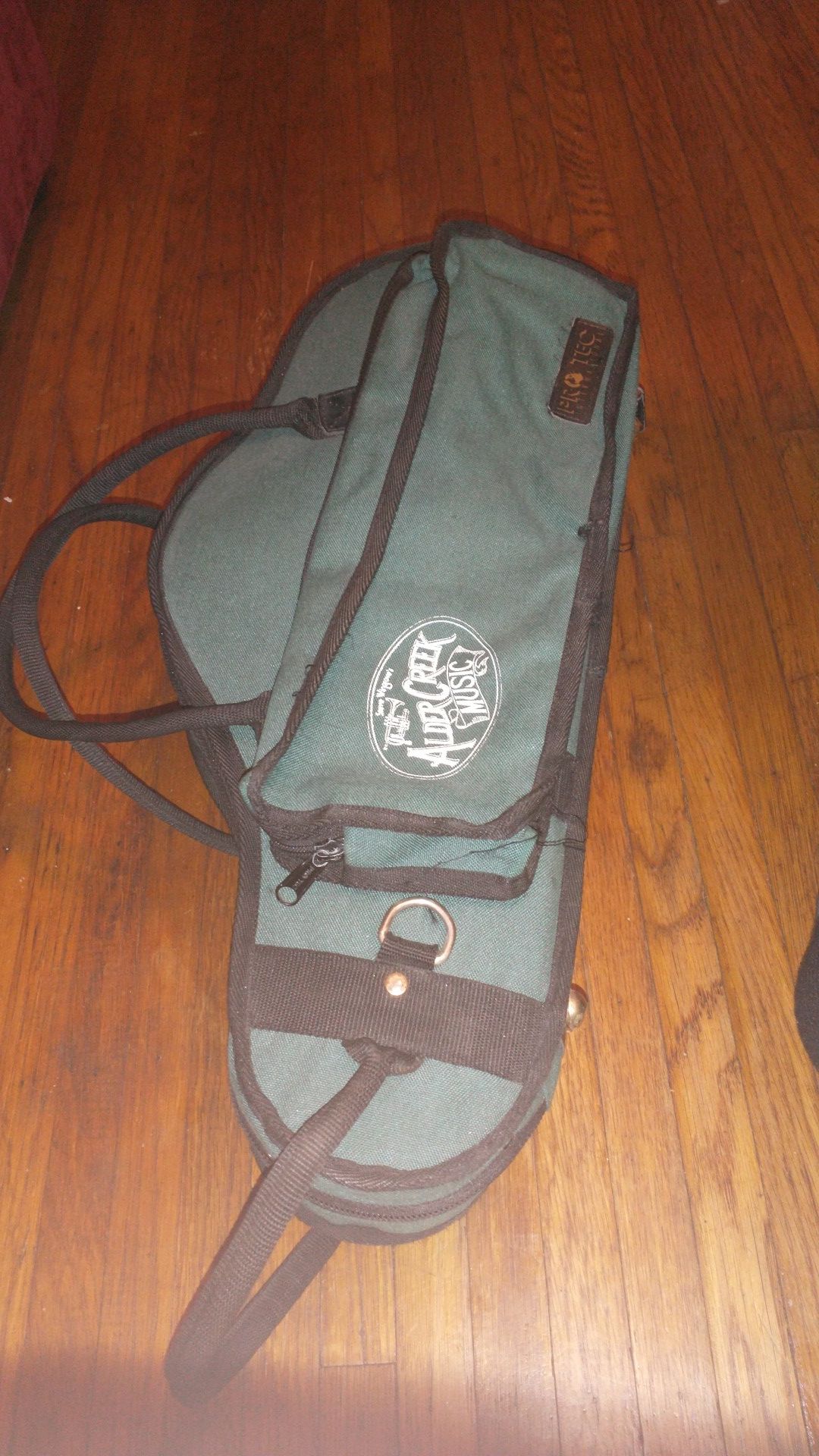 Saxophone Case