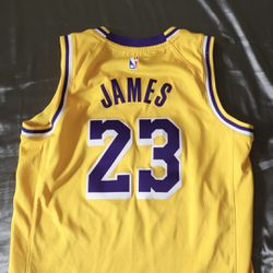 Lebron James Lakers 23’ Jersey