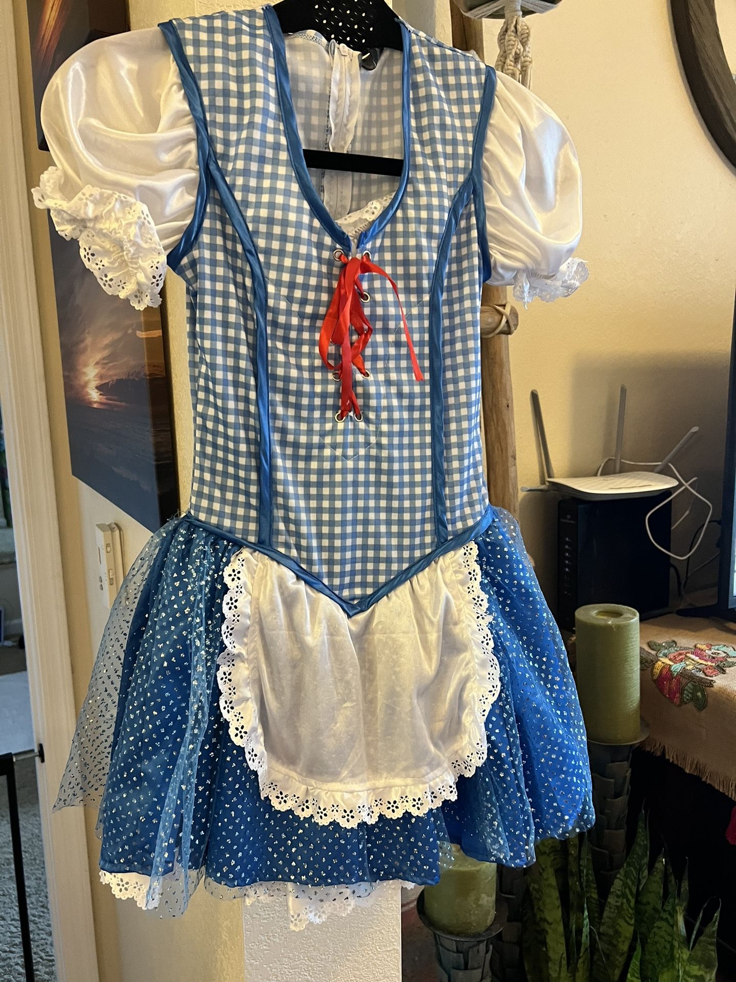 Dorthy Costume 