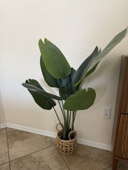 Faux Plant 
