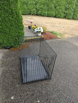 Dog Kennel