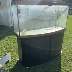 Large Fish Tank W/Stand