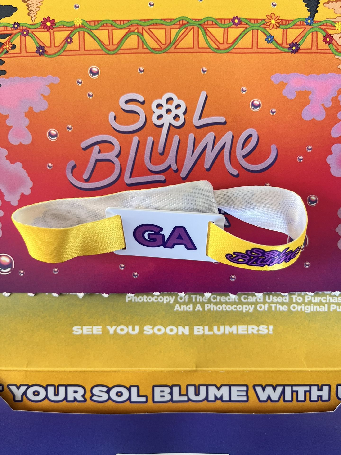 Sol Blume Festival ticket 