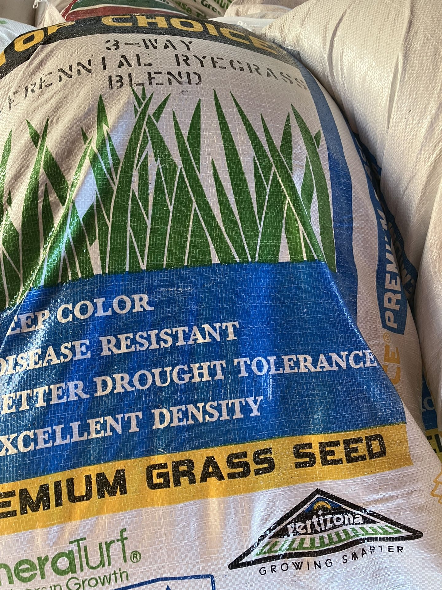 Limited Stock [Rye seed For Winter ]