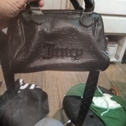 Little Black Juicy Purse