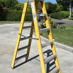 6’ Construction Ladder