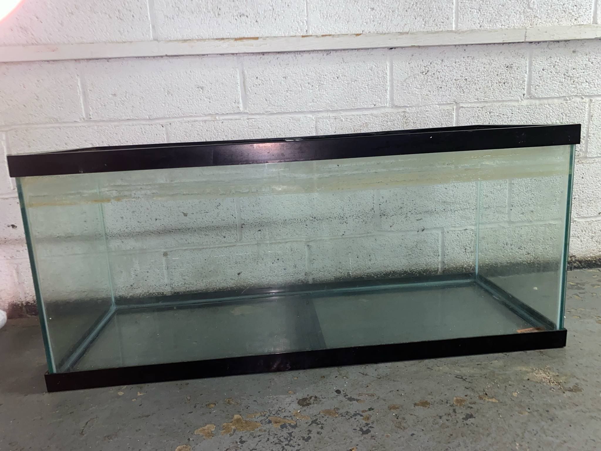 Fish Tank Set Up