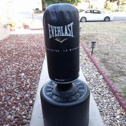 Punching Bag