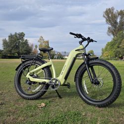 Fat Tires Electric Bike Step Thru Long Range