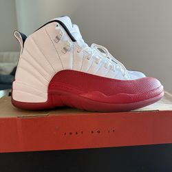 Air Jordan Retro Cherry 12