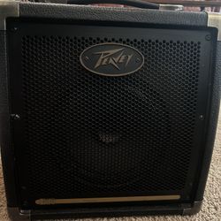 Peavey Ecoustic 20 Guitar Amp 