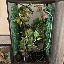 Chameleon Setup