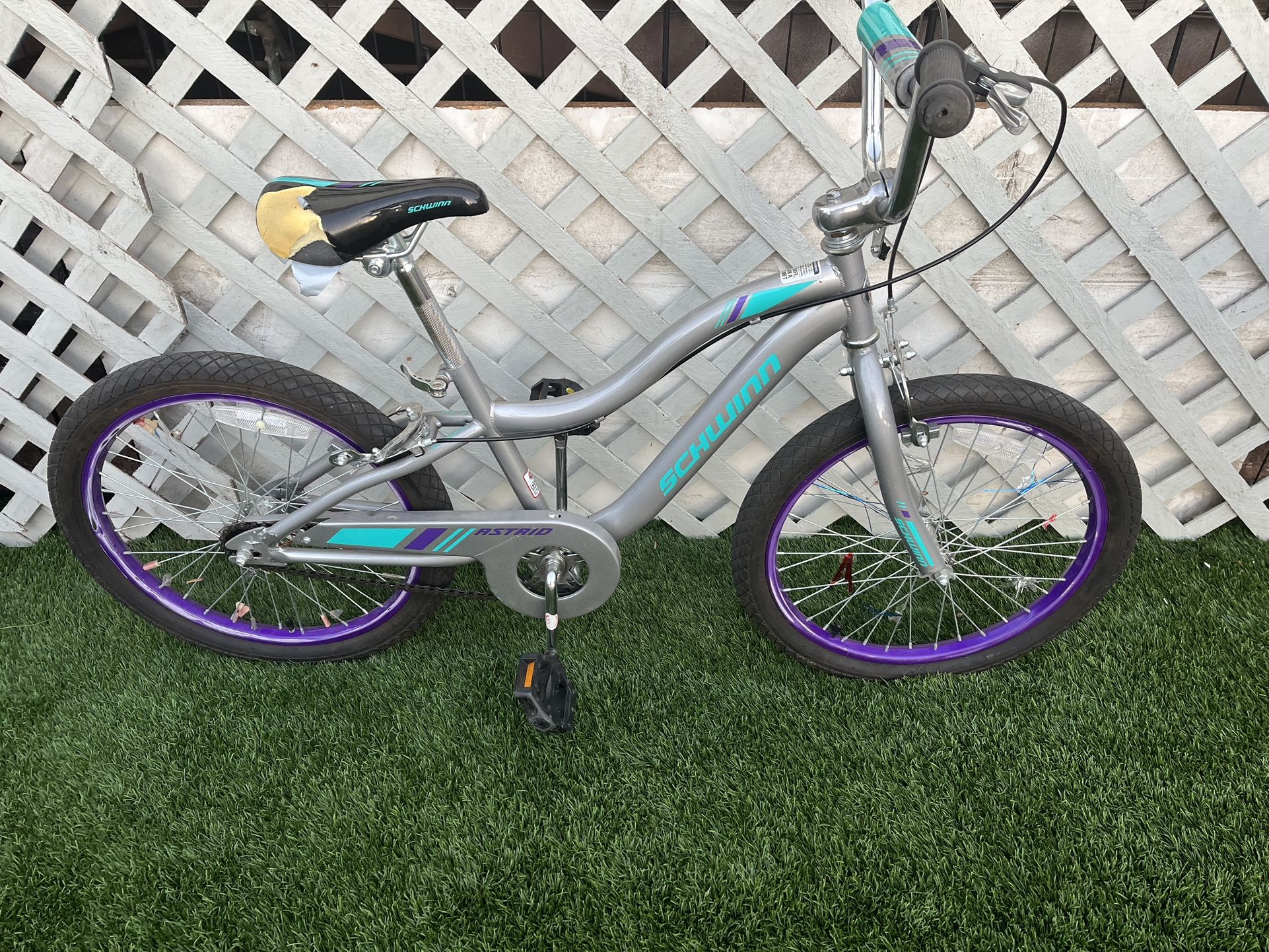 Schwinn Girls Bike