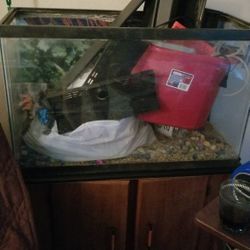Full Setup Fish Tank