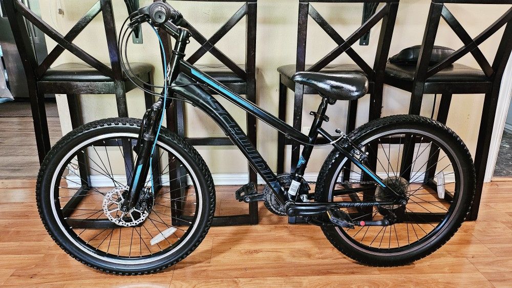 24" Schwinn Youth Hybrid MT Bike