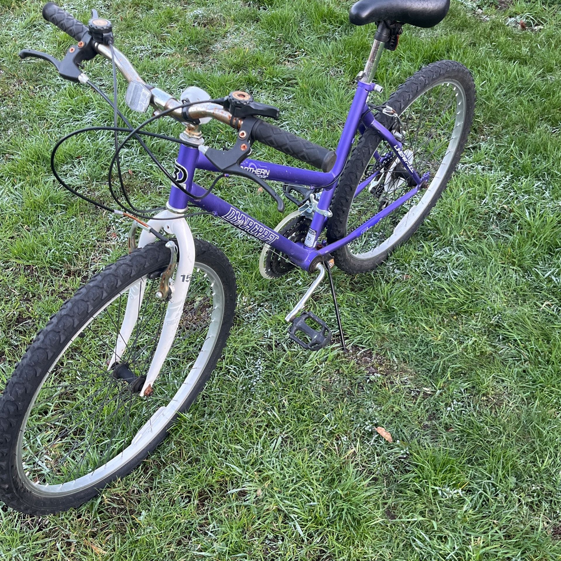Purple Bike 