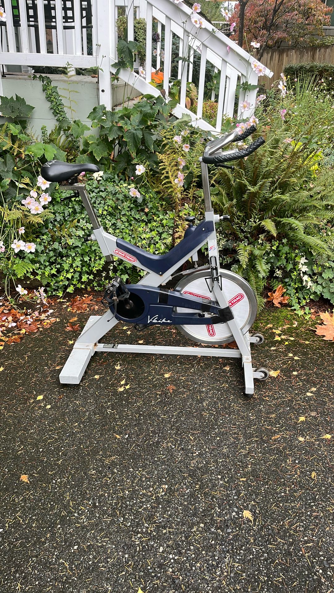 V-Bike Star Trec Commercial Spin Bike