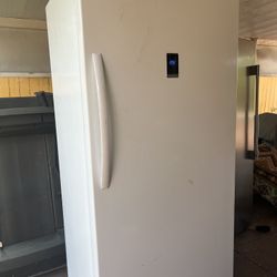 Standup freezer one door extra large