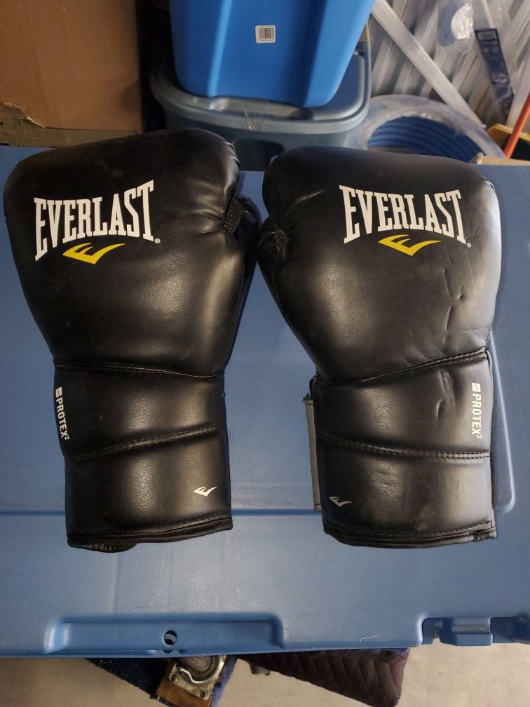 Everlast Boxing Gloves