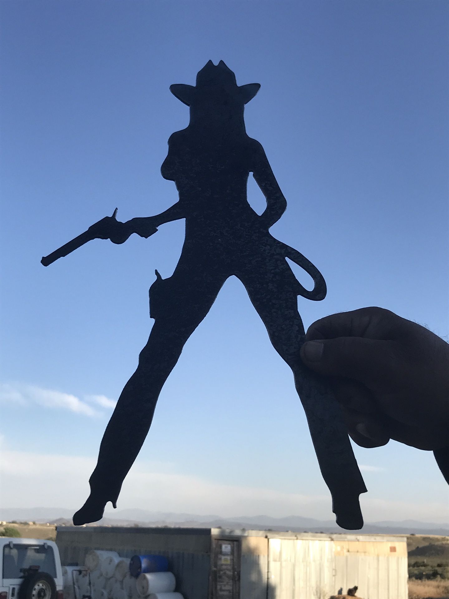 Steel Silhouettes. $1 per inch. 100’s Available