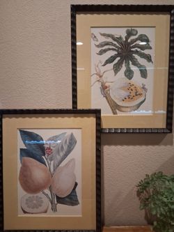 Vintage botanical picture set