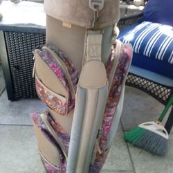 Antique Golf Bag With 9 Clubs