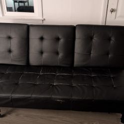 FREE Sleeper Futon Sofa Bed
