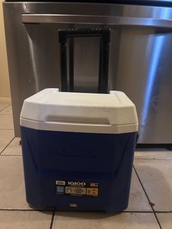 Cooler Igloo