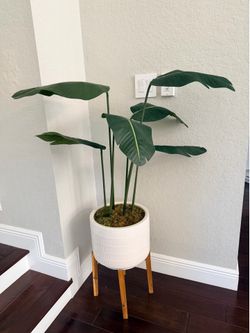 Faux Plant - 4’
