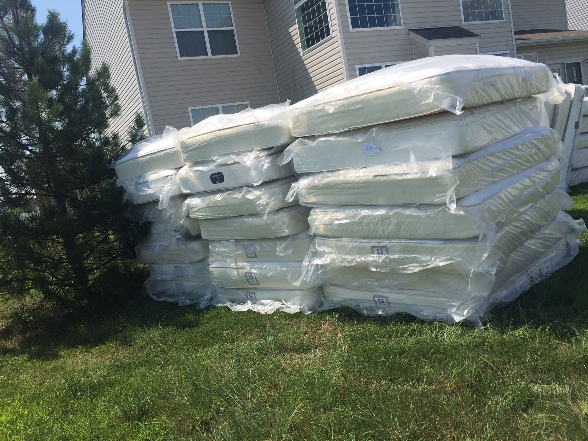Queen Mattresses In Good Conditions