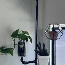 Plant Holder / Candle Holder