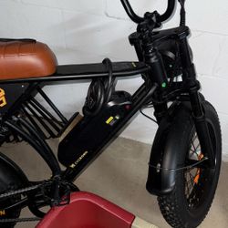 Electric Bike