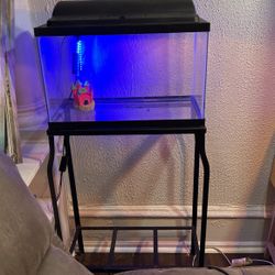 Small Fish Tank (Stand Included)