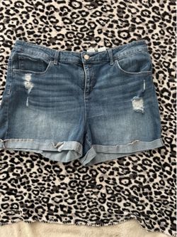 Women’s shorts size 20