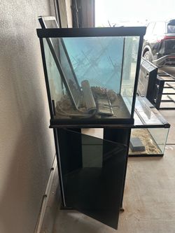 Fish tank with stand