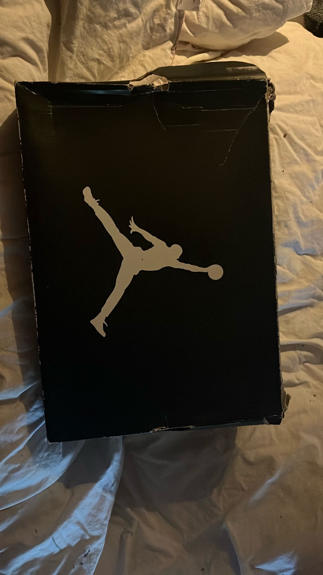 Air Jordan 10 Retro "Steel" sneakers.
