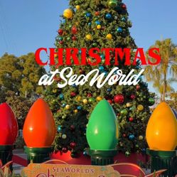 sea world san diego seaworld