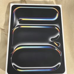 iPad Pro 13inch M4 256GB