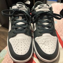Brand New Nike Dunks 